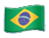 Brazil Flag