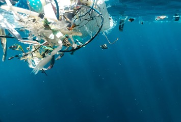 Blog Image 1