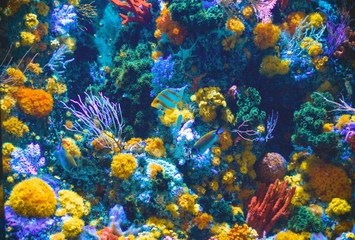 Blog Image 1