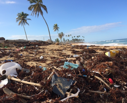 The waves of impact from saving the ocean